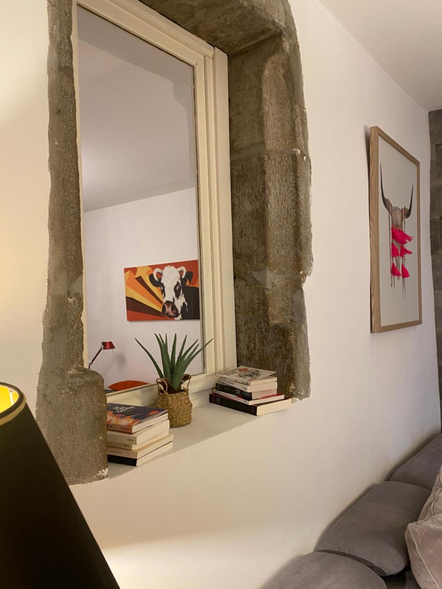 Appartement - Bonlieu - Annecy Vieille Ville Dış mekan fotoğraf